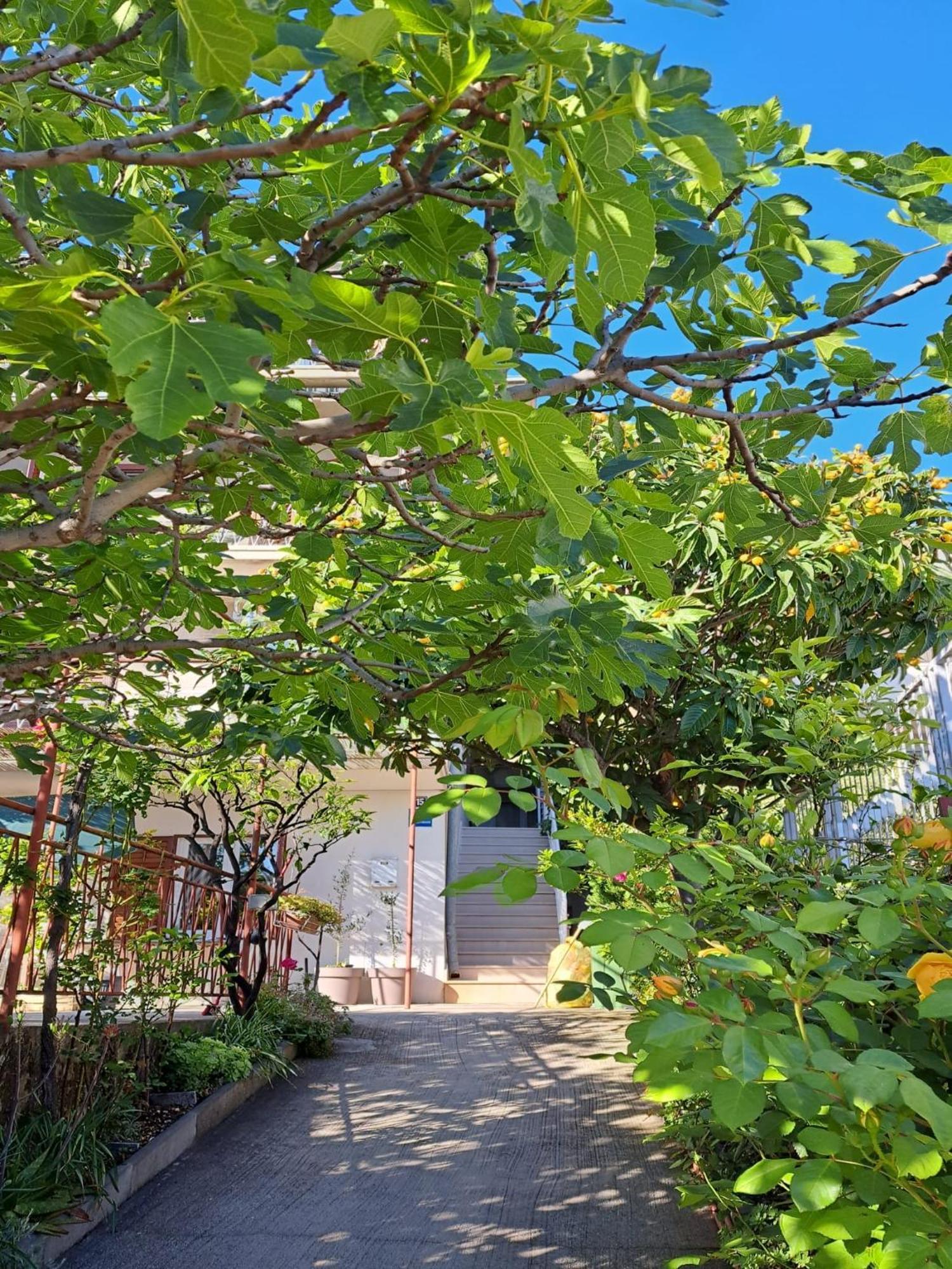 Apartman Adriatic Pavlinovic - Makarska Kültér fotó
