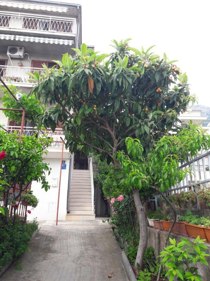 Apartman Adriatic Pavlinovic - Makarska Kültér fotó
