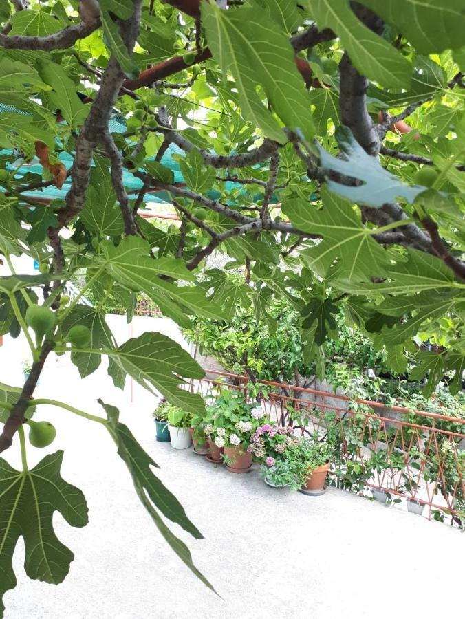 Apartman Adriatic Pavlinovic - Makarska Kültér fotó